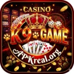 K9 Game Apk New Version