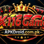 K116 Game Download