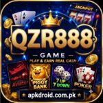 QZR888 Game